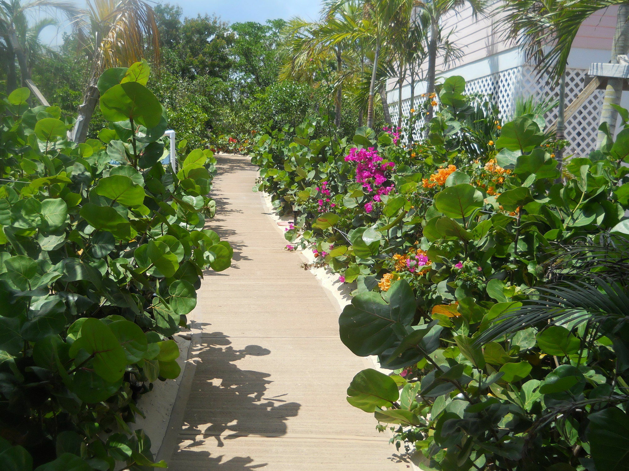 Harbor Breeze Villas Clarence Town Экстерьер фото
